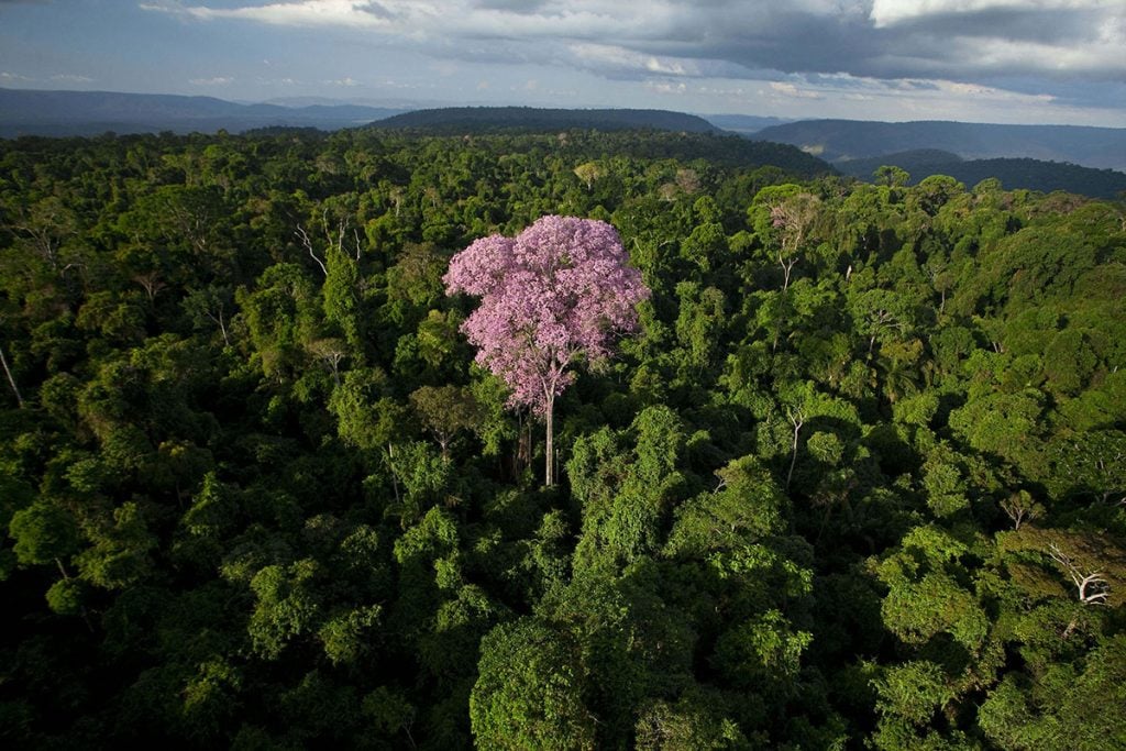 fotógrafo Brasileiro João Marcos Rosa