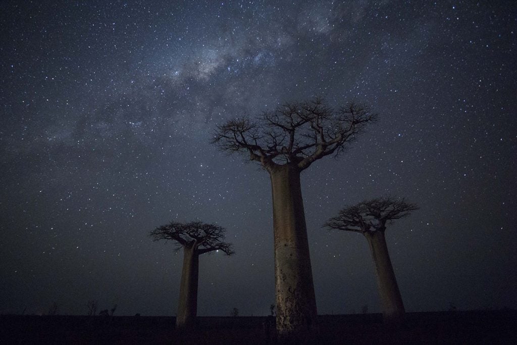 fotógrafo brasileiro João Marcos Rosa